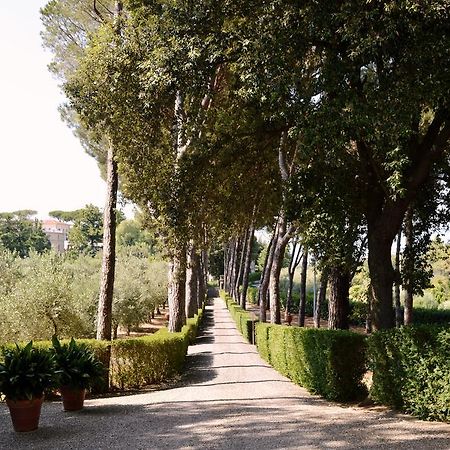 Villa S. Caterina Fauglia Εξωτερικό φωτογραφία