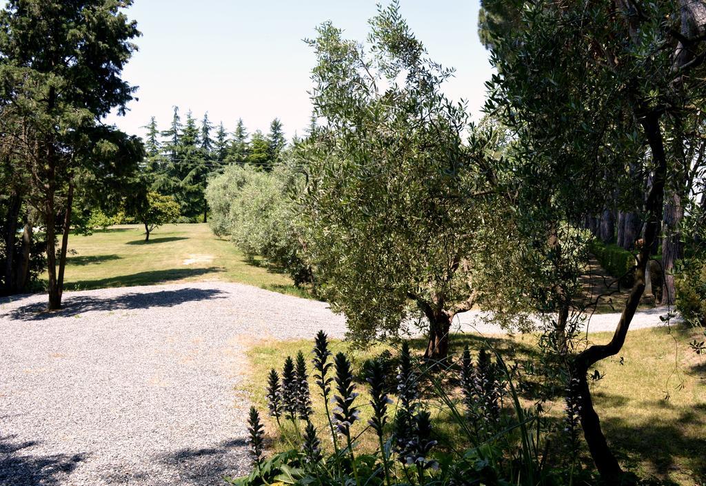 Villa S. Caterina Fauglia Δωμάτιο φωτογραφία