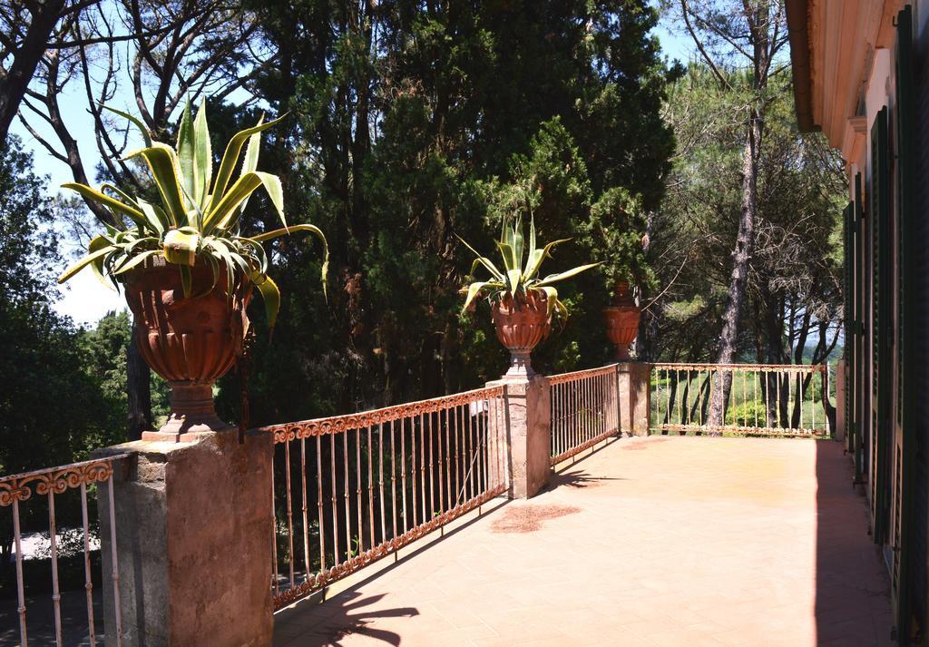Villa S. Caterina Fauglia Δωμάτιο φωτογραφία