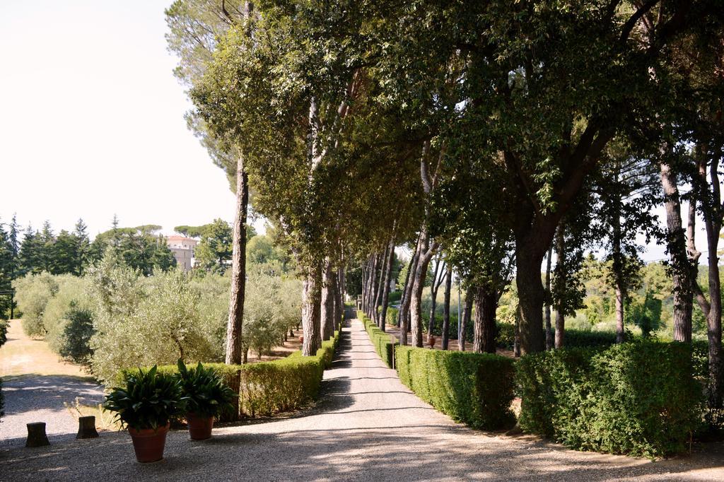 Villa S. Caterina Fauglia Εξωτερικό φωτογραφία